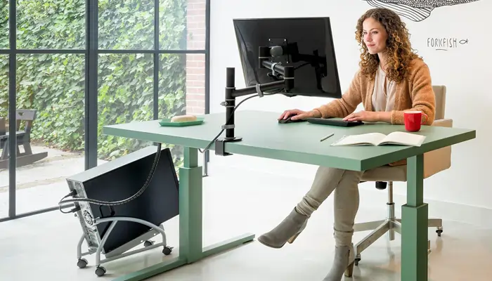 dataflex viewgo Monitorhalter dataflex viewgo Monitorhalter